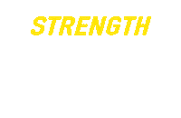 Nyc Ttl Sticker by TrainingLabNYC