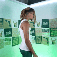 South Florida Horns Up GIF by USF Athletics