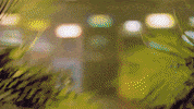 GIF by Wired Productions