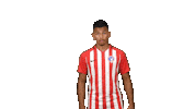 Football Soccer Sticker by Gulf United FC