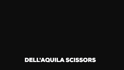 Dellaquila GIF by Dell'Aquila Scissors