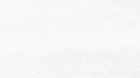 GIF by Mashable