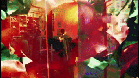 Music Video Flowers GIF