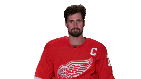 Red Wings Sport Sticker by Detroit Red Wings