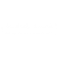 party dancehall Sticker by Wildcat Sound