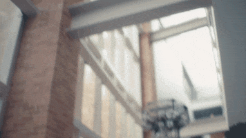 collegeoflakecounty celebrate school yay college GIF