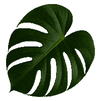 Flourishing Design Center Sticker by DTI Design Center of the Philippines