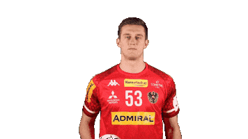 HandballAustria handball ohb handball austria nikola bilyk Sticker