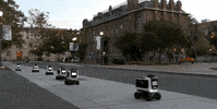 kiwibot cute animation food robot GIF
