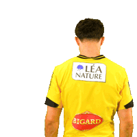 Rugby Sticker by Stade Rochelais