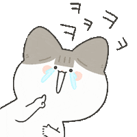 Cat Laugh Sticker