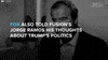 donald trump GIF