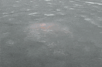 Manx GIF by Culture Vannin
