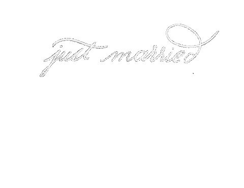 Just Married Wedding Sticker by Dani Ford