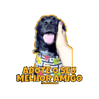 Dog Adopt Sticker
