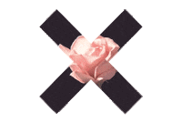 blooming the xx STICKER