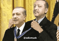 Recep Tayyip Erdogan Rte GIF
