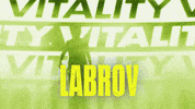 League Of Legends Lol GIF by Team Vitality