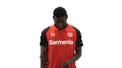 Bayer Leverkusen Sticker by Bundesliga