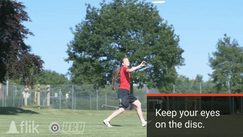 flikulti ultimate frisbee flik GIF