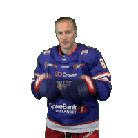 Fight Sticker by VIF Hockey