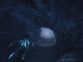 swim cave GIF by Beyond Blue