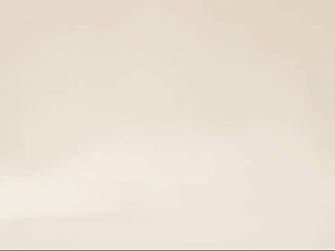 everyonebpup giphyupload chimp chimpers tct GIF