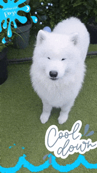 Summer Spraying GIF