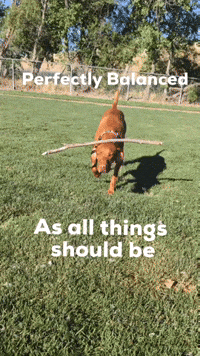 Perfectly Balanced GIF
