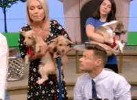 kelly ripa love GIF by Live Kelly and Ryan