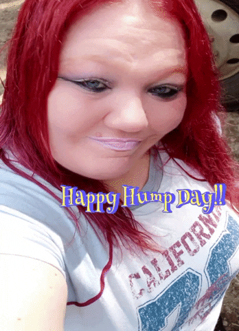 shaemiller1 happy hump day GIF