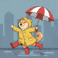 Happy Shiba Inu GIF by Doge Pound