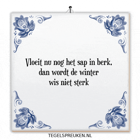 Winter Hoop GIF by Tegelspreuken.nl