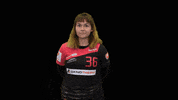 dhcplzen  GIF