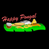 Makar Sankranti Sticker GIF