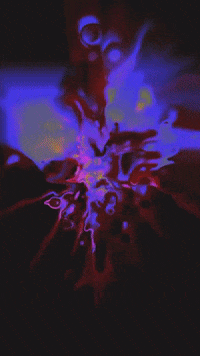 LifeSigner abstract colors visuals generative art GIF