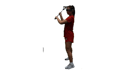 CSUPwLax giphyupload csup csupwlax gopack gopacklax Sticker