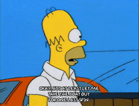 homer simpson GIF