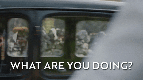 Confused What Are You Doing GIF by All Creatures Great And Small