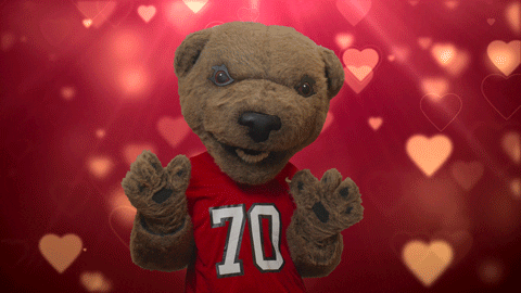 Valentines Day Touchdown GIF by Cornell Alumni