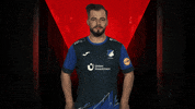 Happy Fifa GIF by Bundesliga