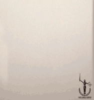 Thanksgiving GIF by Abortion Access Front