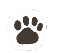 Cat 貓 Sticker