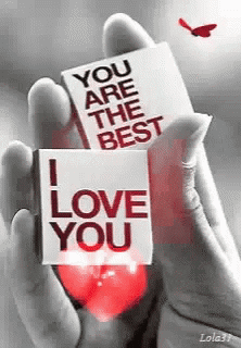 Love You So Much GIF by memecandy