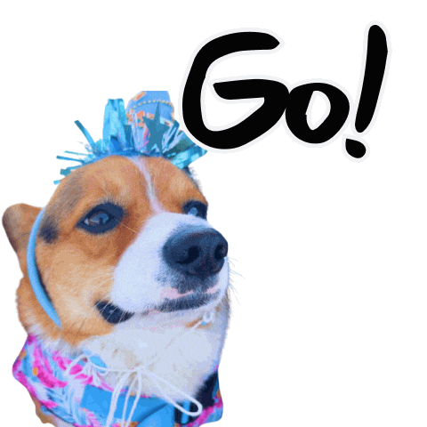 Corgi Go Sticker