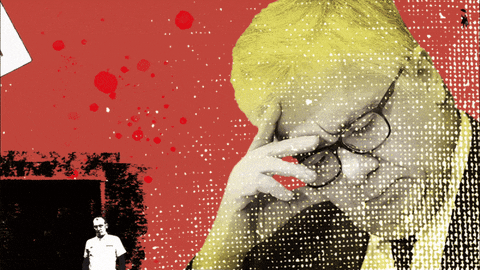 DNoticias giphyupload GIF