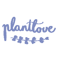 Heart Love Sticker by PLANTETHICS