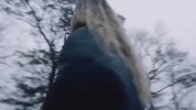 undrunk GIF by FLETCHER