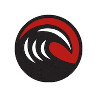 World Surf League Surfing Sticker by True Surf