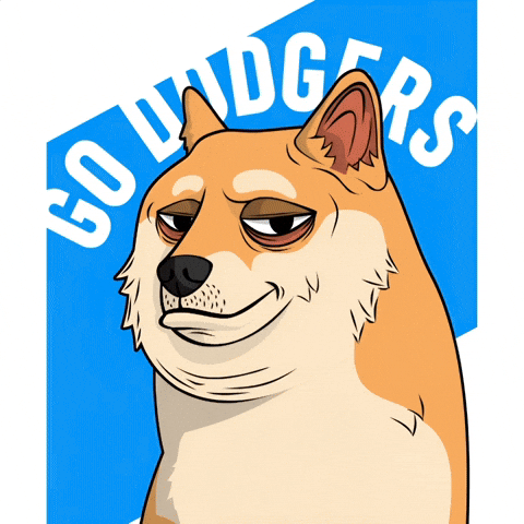 Shiba Inu Dog GIF by Doge Pound